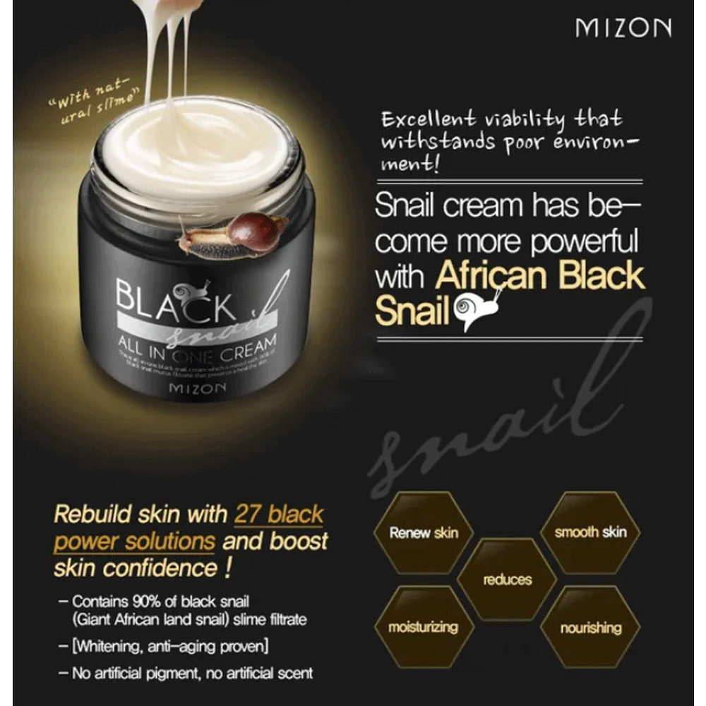 MIZON Black Snail All In One Cream 75ml - DODOSKIN