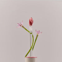 EQUMAL Non-Section Glowy Tint MPBB 5g