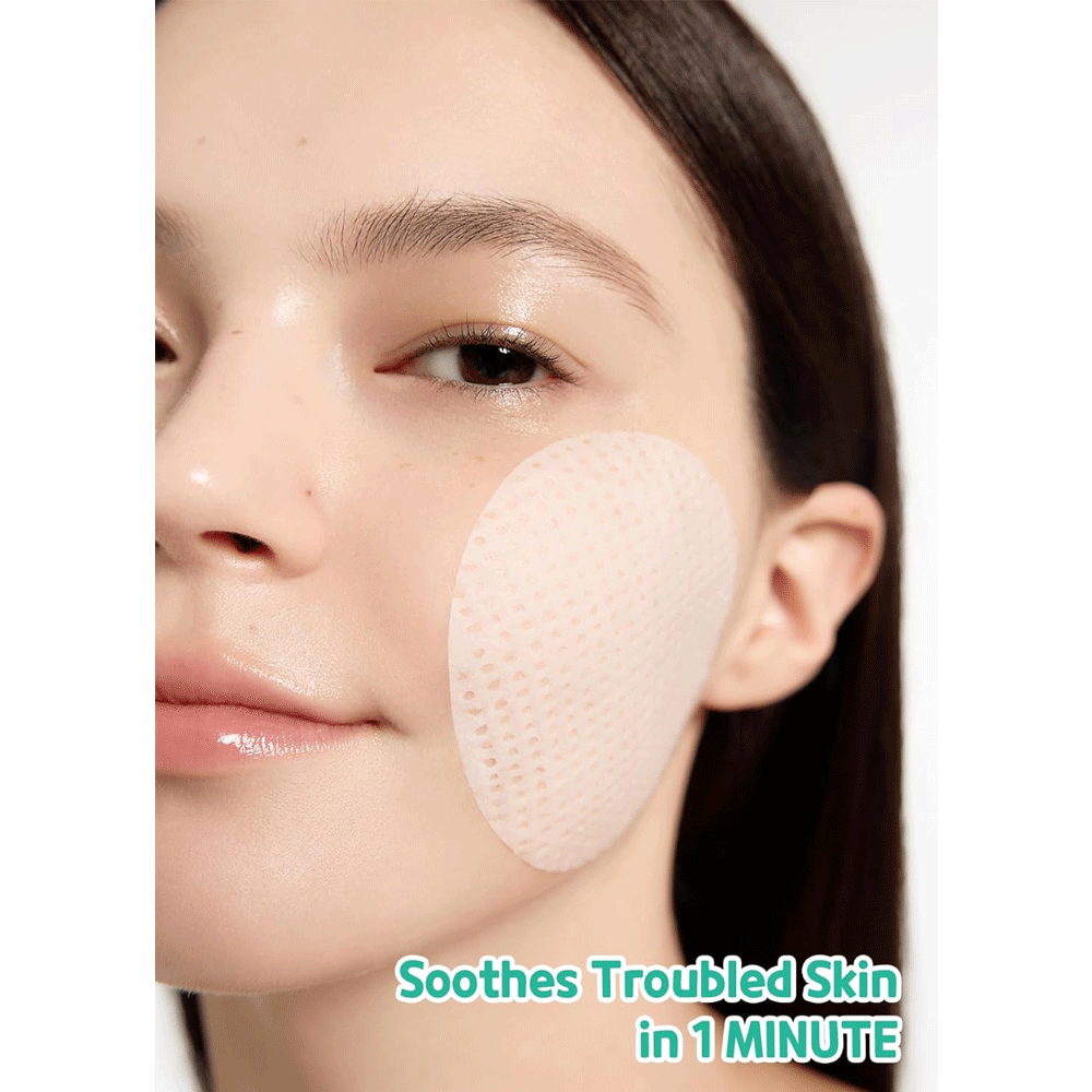 BRING GREEN Tea Tree Cica Trouble Soothing Toner Pad 90 pads - DODOSKIN