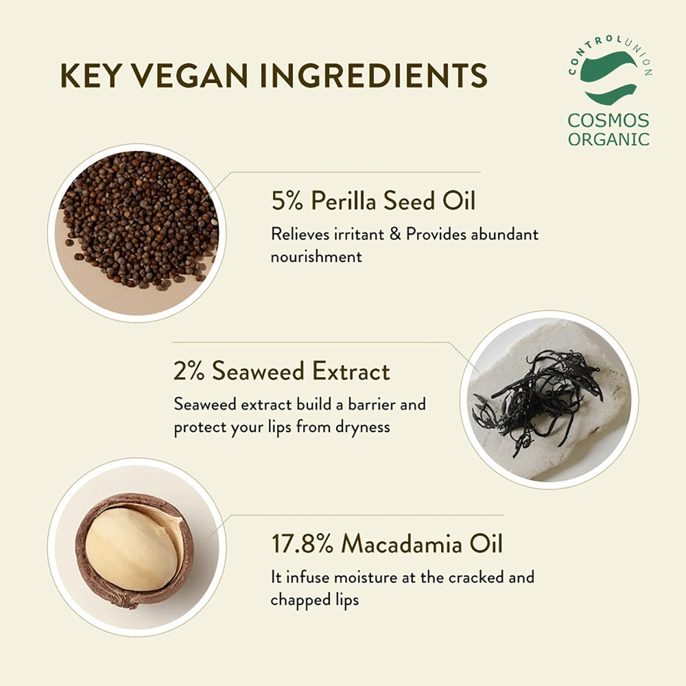 (NEWA) Sioris More Than Lip Balm 4g - DODOSKIN