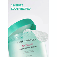 BRING GREEN Tea Tree Cica Trouble Soothing Toner Pad 90 pads - DODOSKIN