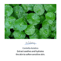 esfolio Hyaluronic Acid Houttuynia Cordata Ampoule 50ml - DODOSKIN