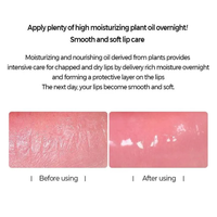 KLAVUU Nourishing Care Lip Sleeping Pack 20g - 3 Types - DODOSKIN