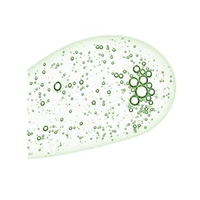 TOSOWOONG Parsley Spot Ampoule 30ml - DODOSKIN