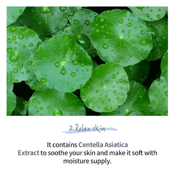 esfolio Hyaluronic Acid Houttuynia Cordata Cream 50g - DODOSKIN