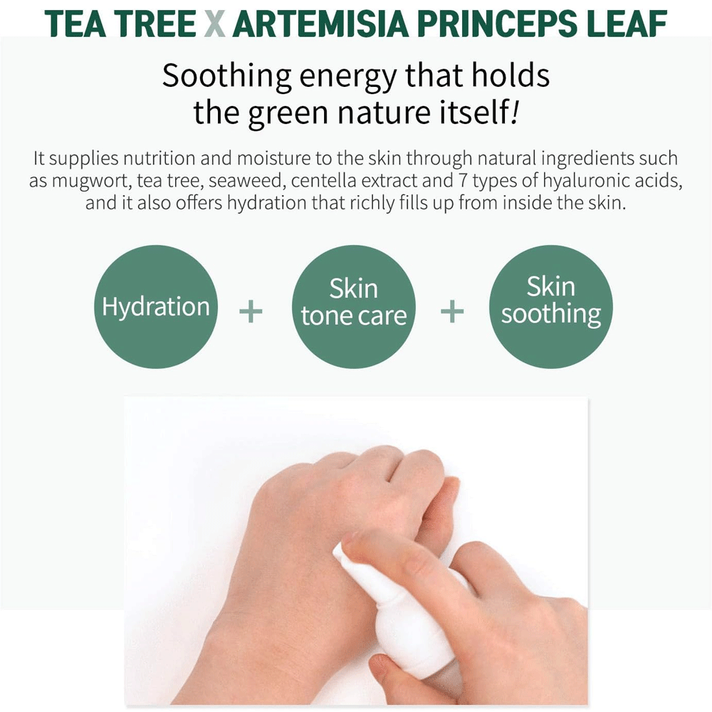 (NEWA) WellDerma TeaTree Soothing Bubble Toner 150ml + Refill 100ml - DODOSKIN