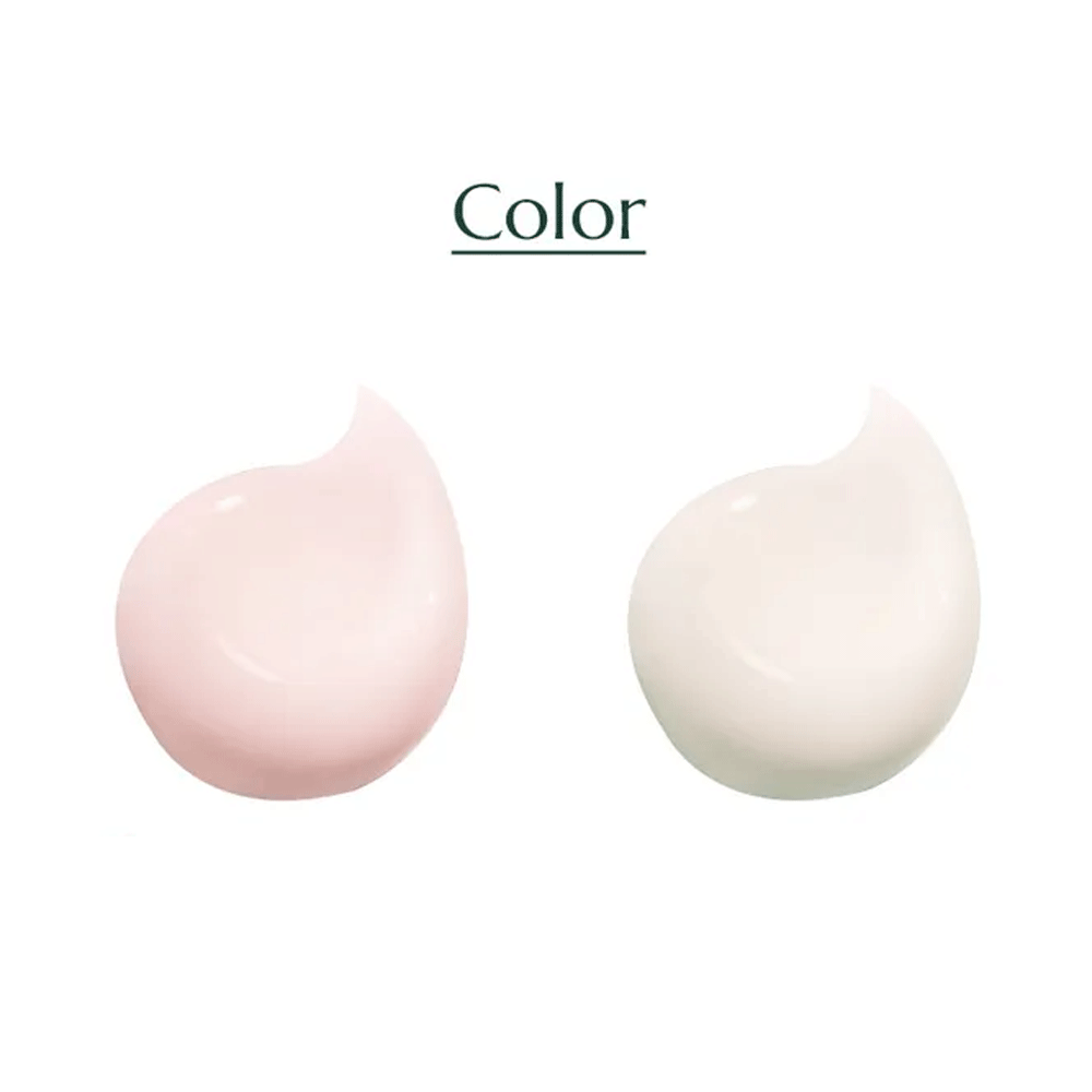 NOWATER Teatree Day-Day Toneup Sun Cushion SPF50+ PA++++ 25g - 2 Colors - DODOSKIN