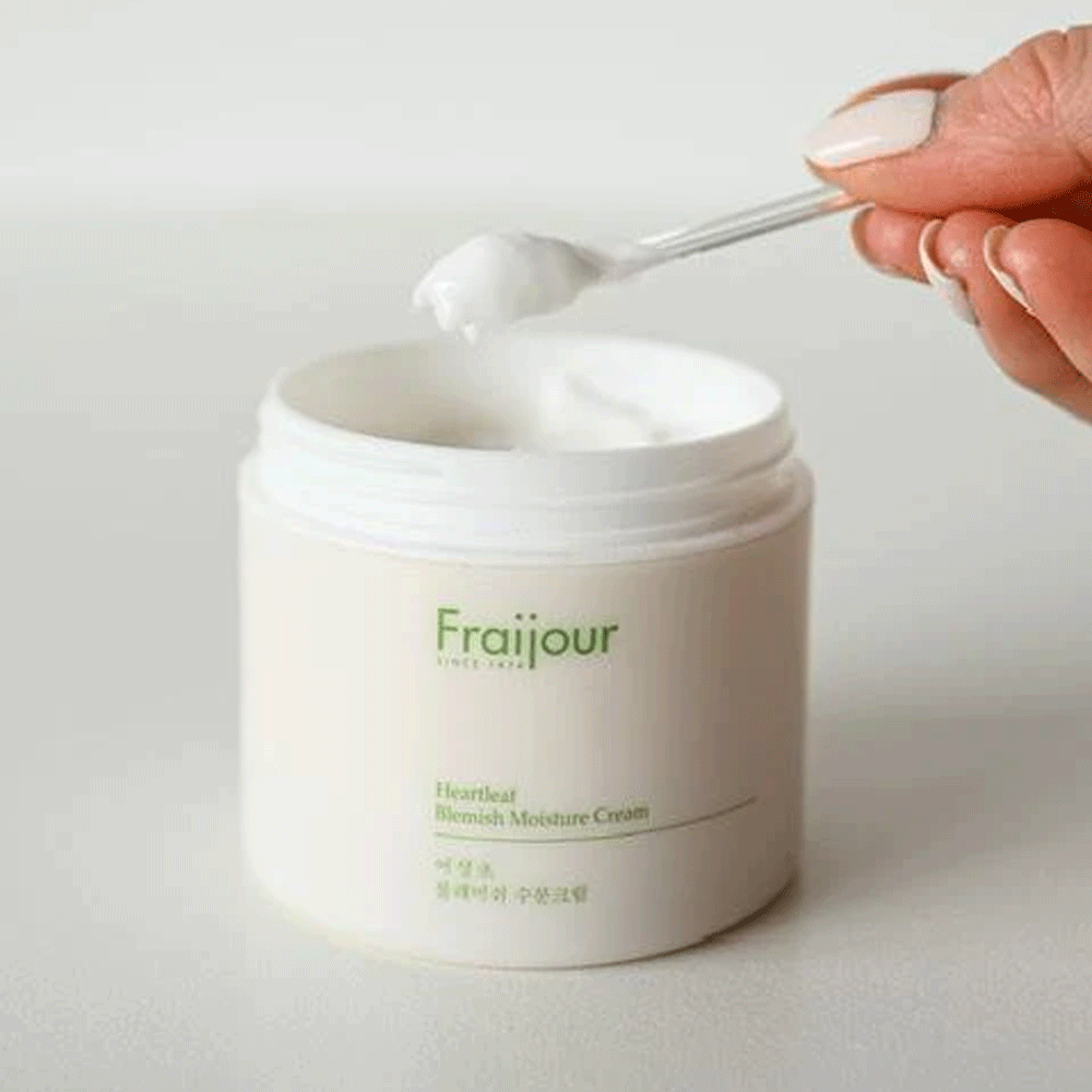 Fraijour Heartleaf Blemish Moisture Cream 100ml - DODOSKIN