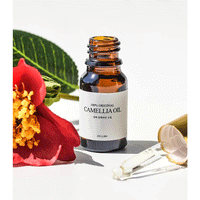 (NEWA) CELLBN Camellia Oil 10ml - DODOSKIN