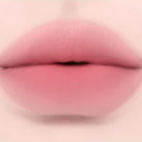 Dinto Madame Butterfly Collection Blurring Lip Veil 3.5ml 10 colors