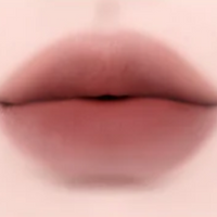 Dinto Madame Butterfly Collection Blurring Lip Veil 3.5ml 10 colors