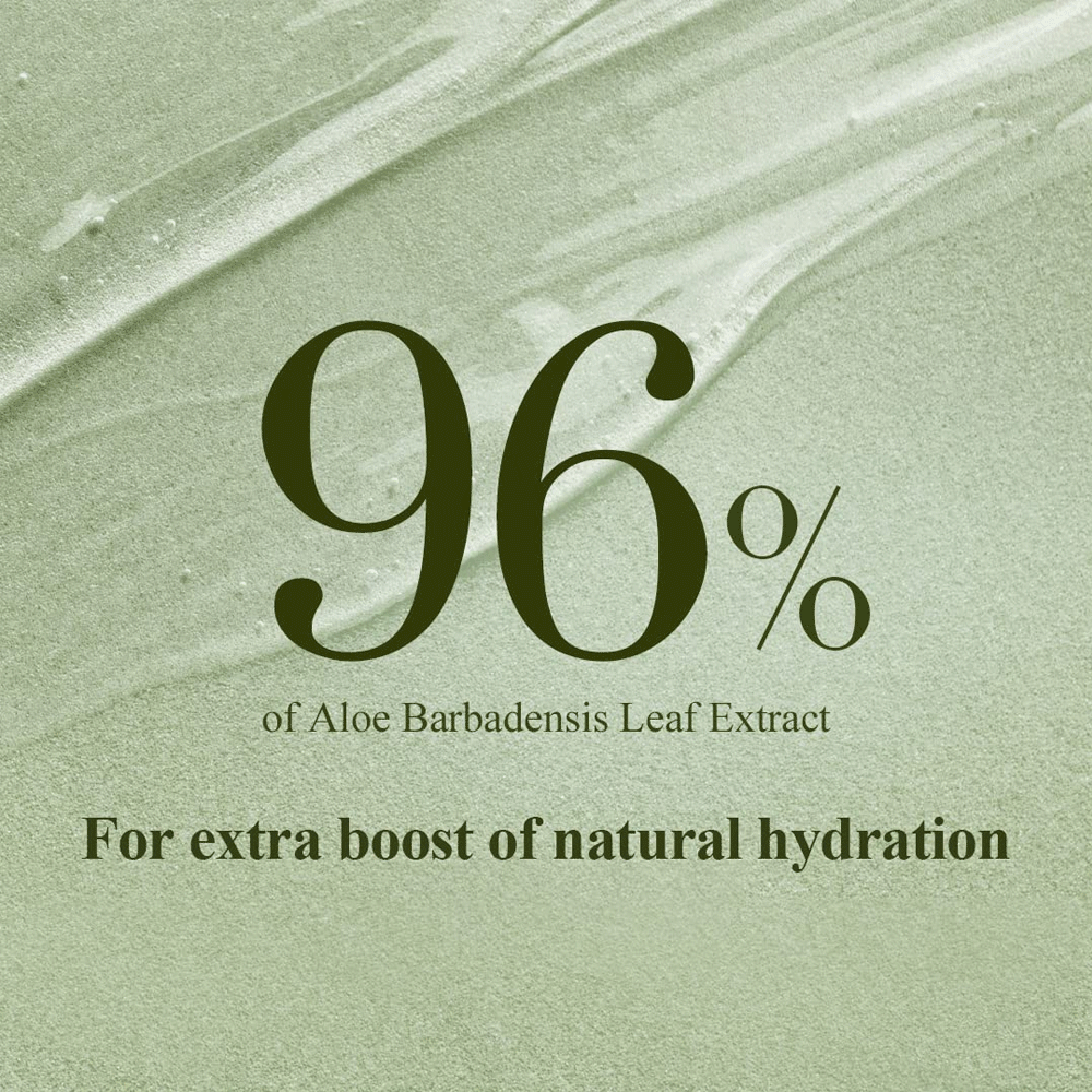 MIZON Cica Aloe 96% Soothing Gel Cream 300g - DODOSKIN