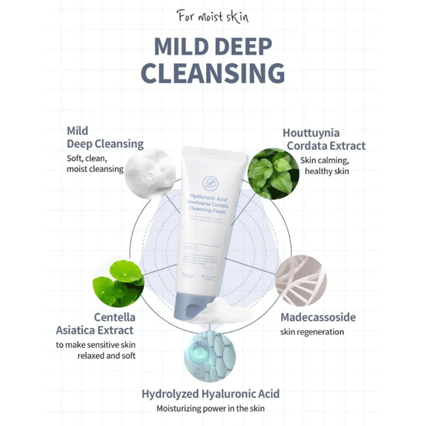 esfolio Hyaluronic Acid Houttuynia Cordata Cleansing Foam 100ml - DODOSKIN