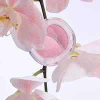 A'PIEU Mood Blending Jelly Cheek Balm 6g 4 colors