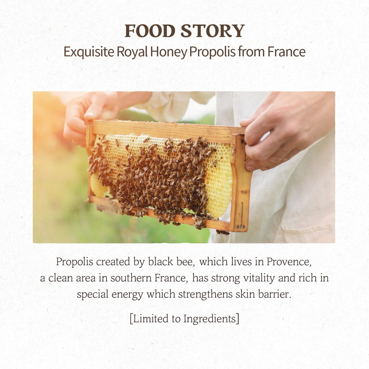 (Mhark) SKINFOOD Royal Honey Mask 30ml - DODOSKIN