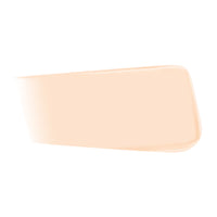 JUNG SAEM MOOL Pro-lasting Flawless Fit Mesh Cushion SPF50+ PA++++14g 6 colors