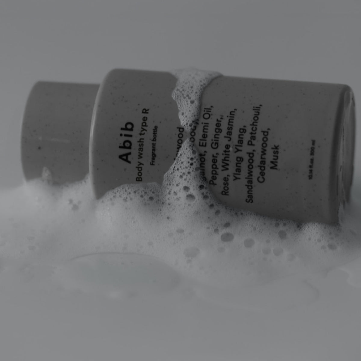 Abib Botella fragante de 3 tyte de lavado de carrocería 300ml