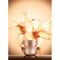 The history of whoo Cheonyuldan Hwayul Mask 75ml - DODOSKIN