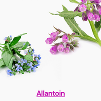 TONYMOLY Hyaluron Low Molecule 10X Ampoule 50ml