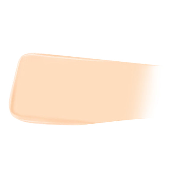 JUNG SAEM MOOL Pro-lasting Flawless Fit Mesh Cushion SPF50+ PA++++14g 6 colors