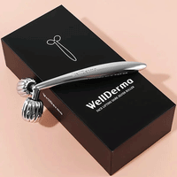 WellDerma Face Lifting Roller Dark Silver 1pcs - DODOSKIN