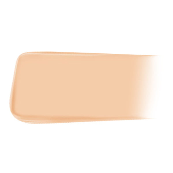 JUNG SAEM MOOL Pro-lasting Flawless Fit Mesh Cushion SPF50+ PA++++14g 6 colors