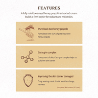 SKINFOOD Royal Honey Propolis Enrich Barrier Cream 63ml - DODOSKIN