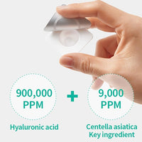 Wellage Real Cica Clear One Day Kit 7ea - DODOSKIN