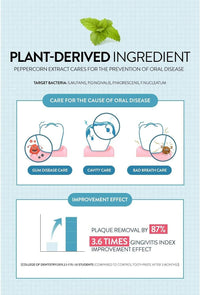 PERIOE Himalayan Pink Salt Toothpaste, Floral Mint 100g - DODOSKIN