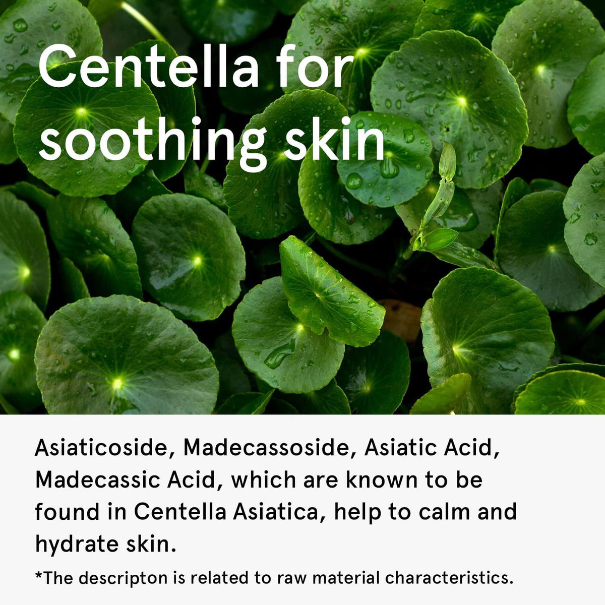 ONE THING Centella Asiatica Extract 300ml - DODOSKIN