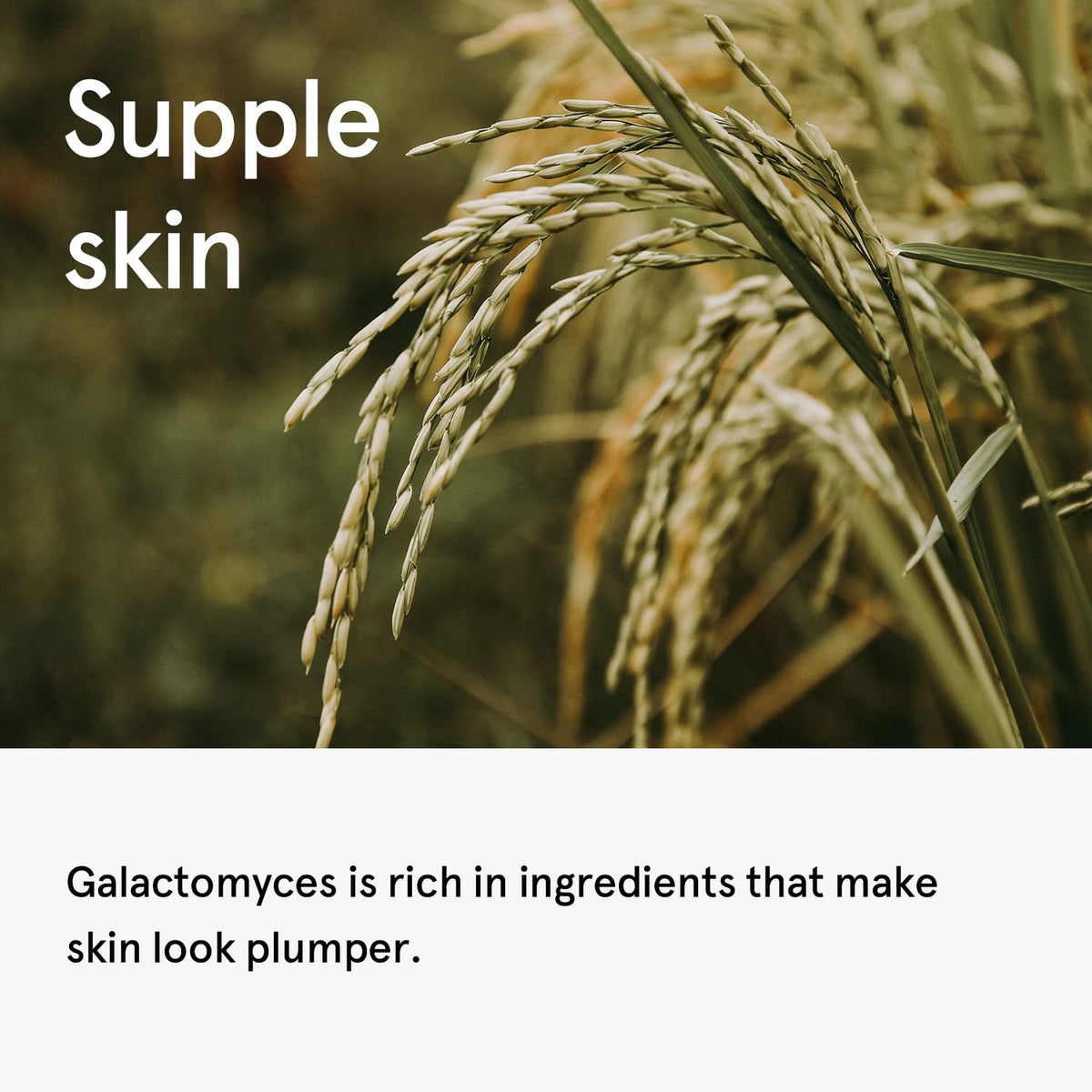 ONE THING Galactomyces Ferment Filtrate 150ml - DODOSKIN