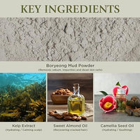 (Matthew) BRMUD Relief Mud Damage Care Shampoo 30ml/500ml - DODOSKIN