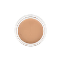 the SAEM Cover Perfection Pot Concealer 6g (Renewal) - DODOSKIN