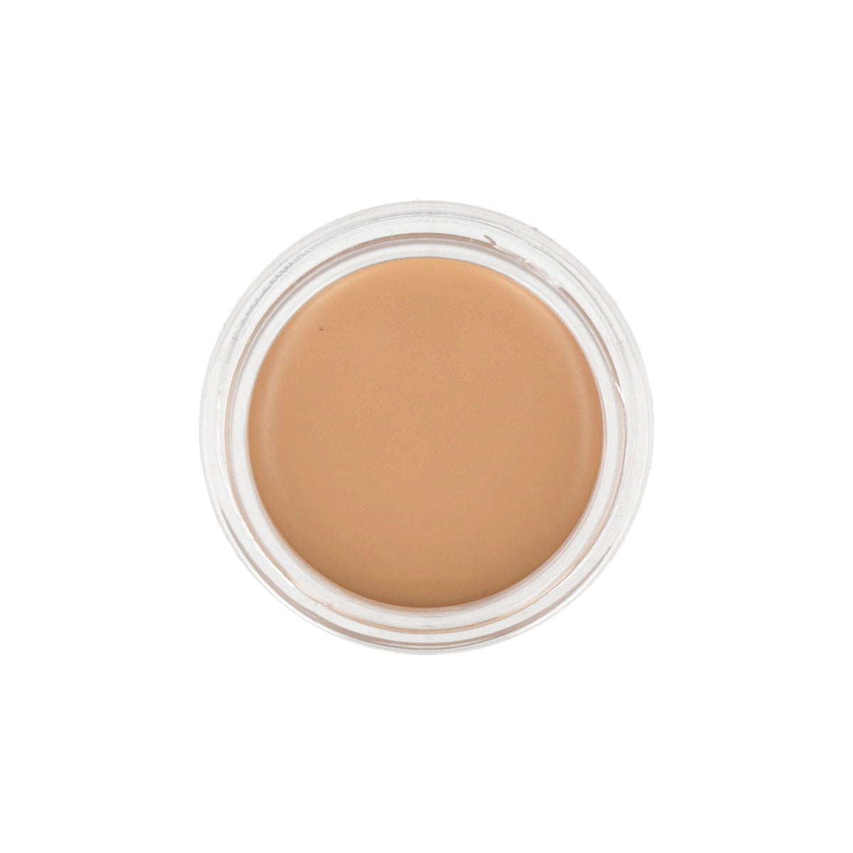 the SAEM Cover Perfection Pot Concealer 6g (Renewal) - DODOSKIN