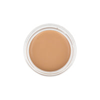 the SAEM Cover Perfection Pot Concealer 6g (Renewal) - DODOSKIN