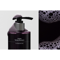 ANAZE Colure Silver Grey Toning Shampoo 300ml