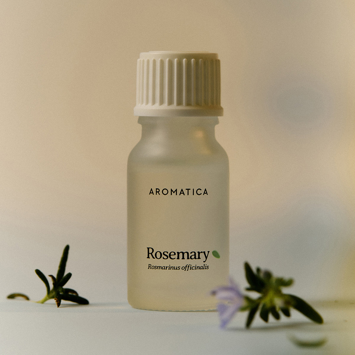AROMATICA Essential Oil 10ml 4 Types