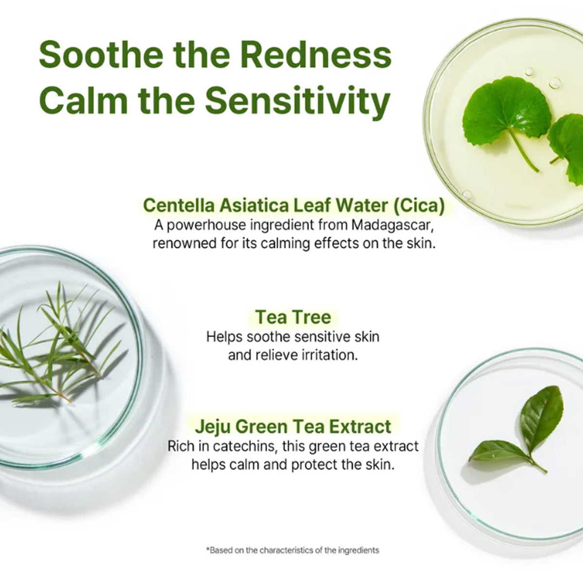 AVCA Cica Tea Tree True Calming Ampoule 100ml