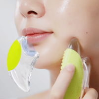 Ariul Apple Cider Crystal Massager Gua ShaeA