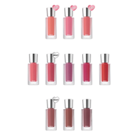 BBIA Over Glaze 4.5g