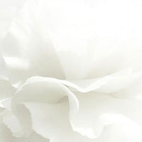 Beyond Angel Aqua Cica Cream 150ml