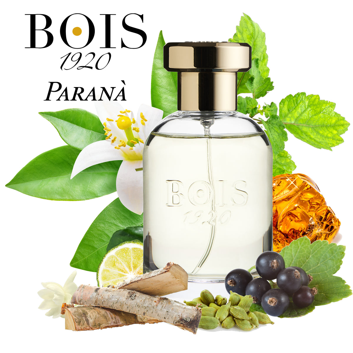 BOIS 1920 Paranà 18ml