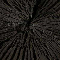 Barle Charcoal Melting Cleansing Balm 100g