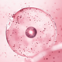 BeginS by JUNG SAEM MOOL Pink Guava Glutathione Blemish cream 50ml (Free 5ml Spot Cream Included)