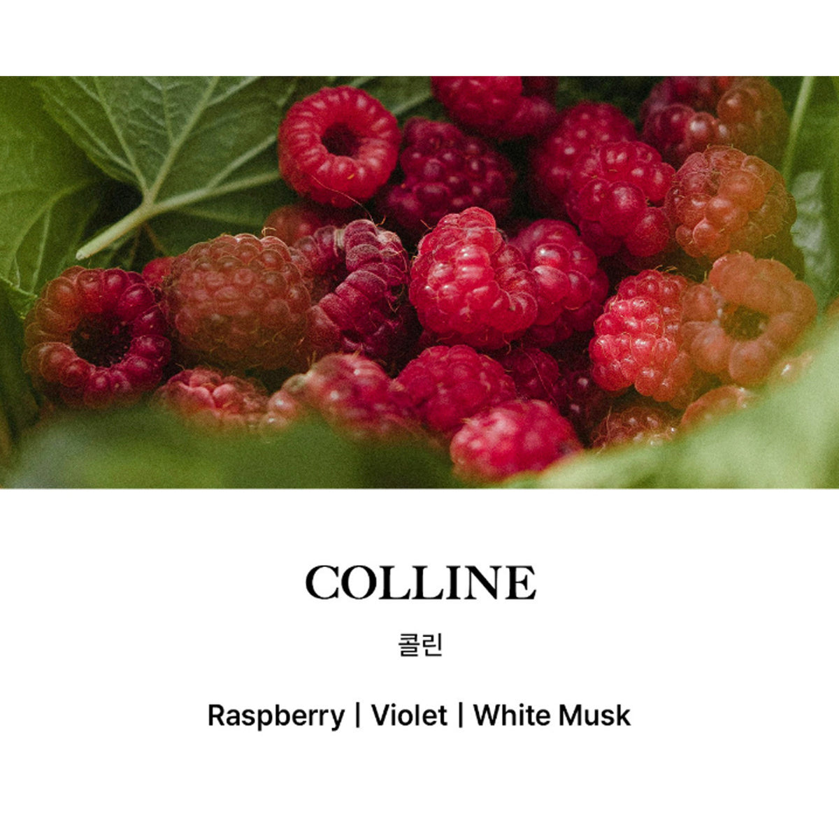 BiBiANG Hair Perfume Serum Mist 50ml (Select 1 of 4 Scents)