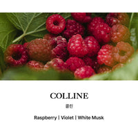 BiBiANG Hair Perfume Serum Mist 50ml (Select 1 of 4 Scents)