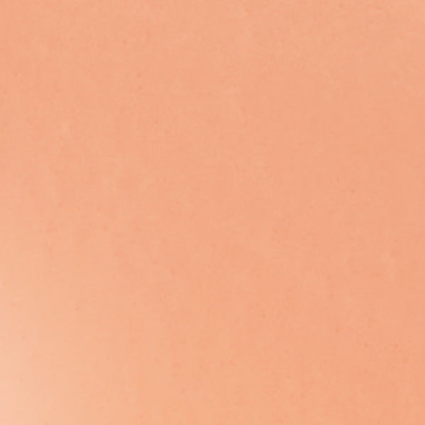 FEEV Fluffy Cheek Blush 10g 6colors