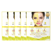 DERMAFIX Patent Performance Vita Collagen (5 Sheets)