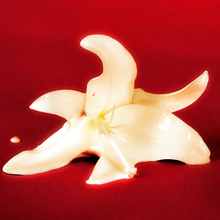 BORNTOSTANDOUT Eau de Parfum 50ml #Dirty Heaven - DODOSKIN