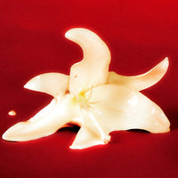 BORNTOSTANDOUT Eau de Parfum 50ml #Dirty Heaven - DODOSKIN